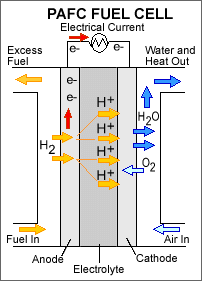 Types of fuel cells