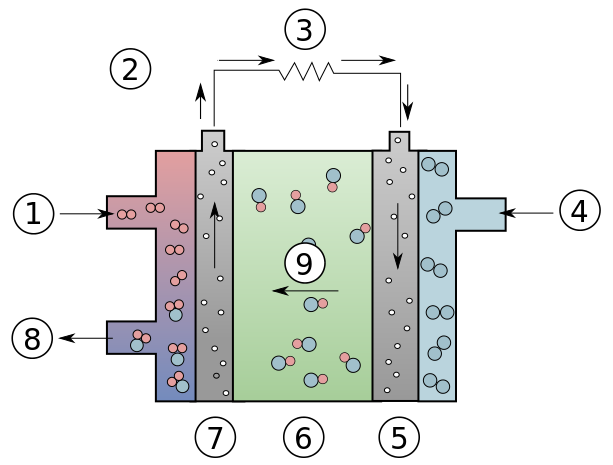 Types of fuel Cells