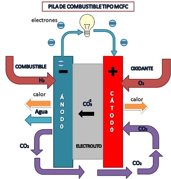 Types of fuel cells 